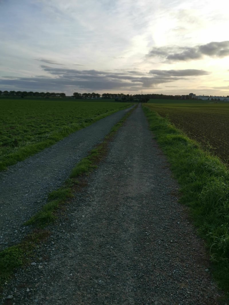Promenade sympathique - Chauray