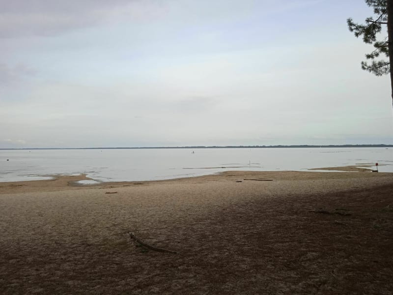 Direction le lac de Biscarrosse - Biscarrosse