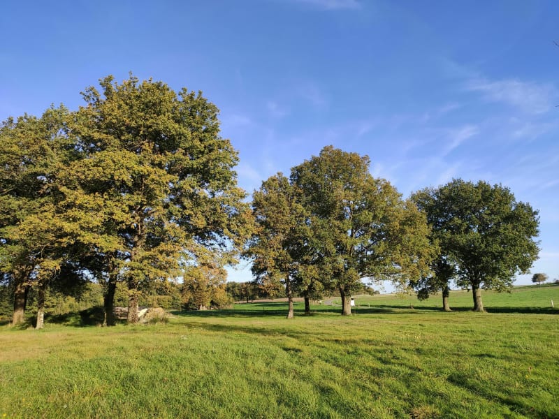 Visite des mégalithes de Bagneux. - Bagneux