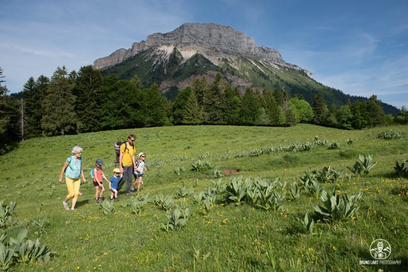Boucle des Emeindras - Le Sappey-en-Chartreuse