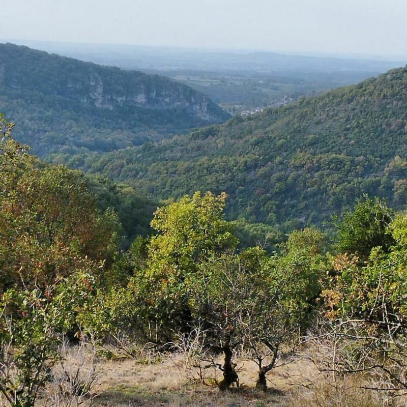 Campement préhistoire - les Abriols - Bruniquel