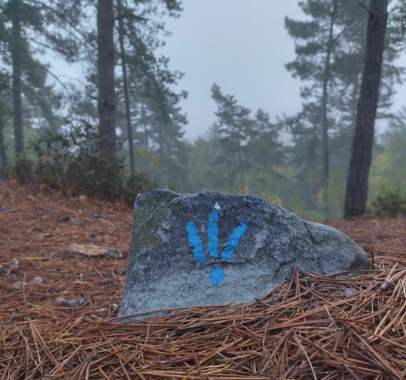 Rochers des Princes - Fontainebleau
