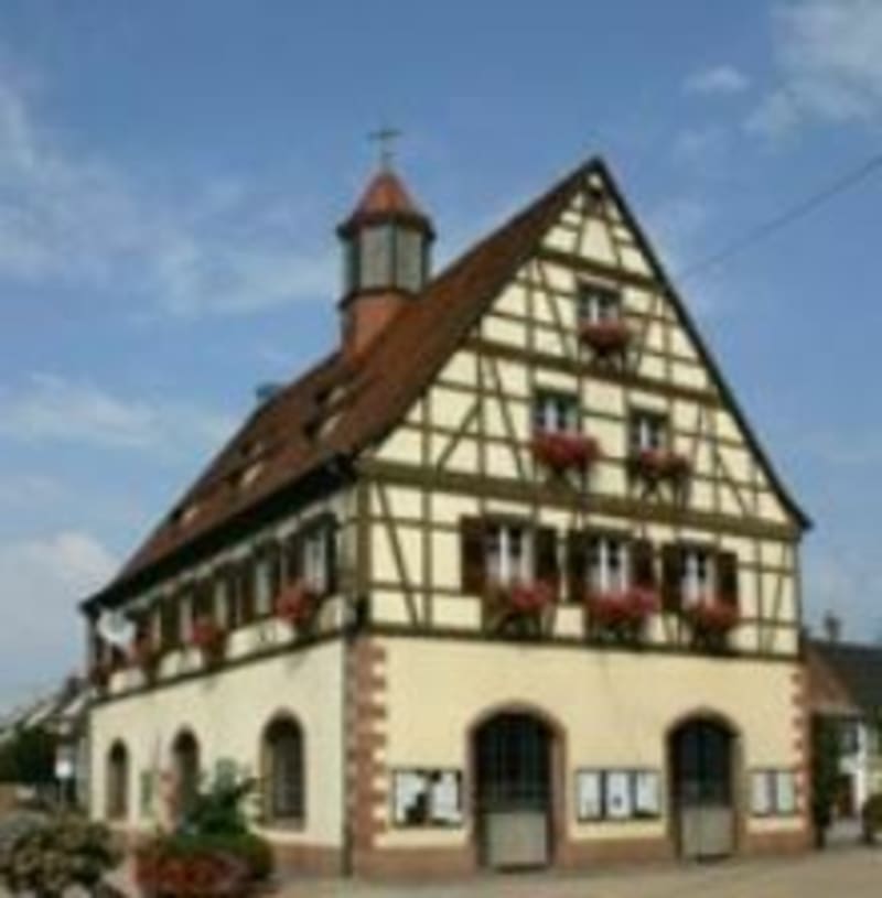 Balade champêtre de Bischwiller à Gries - Bischwiller