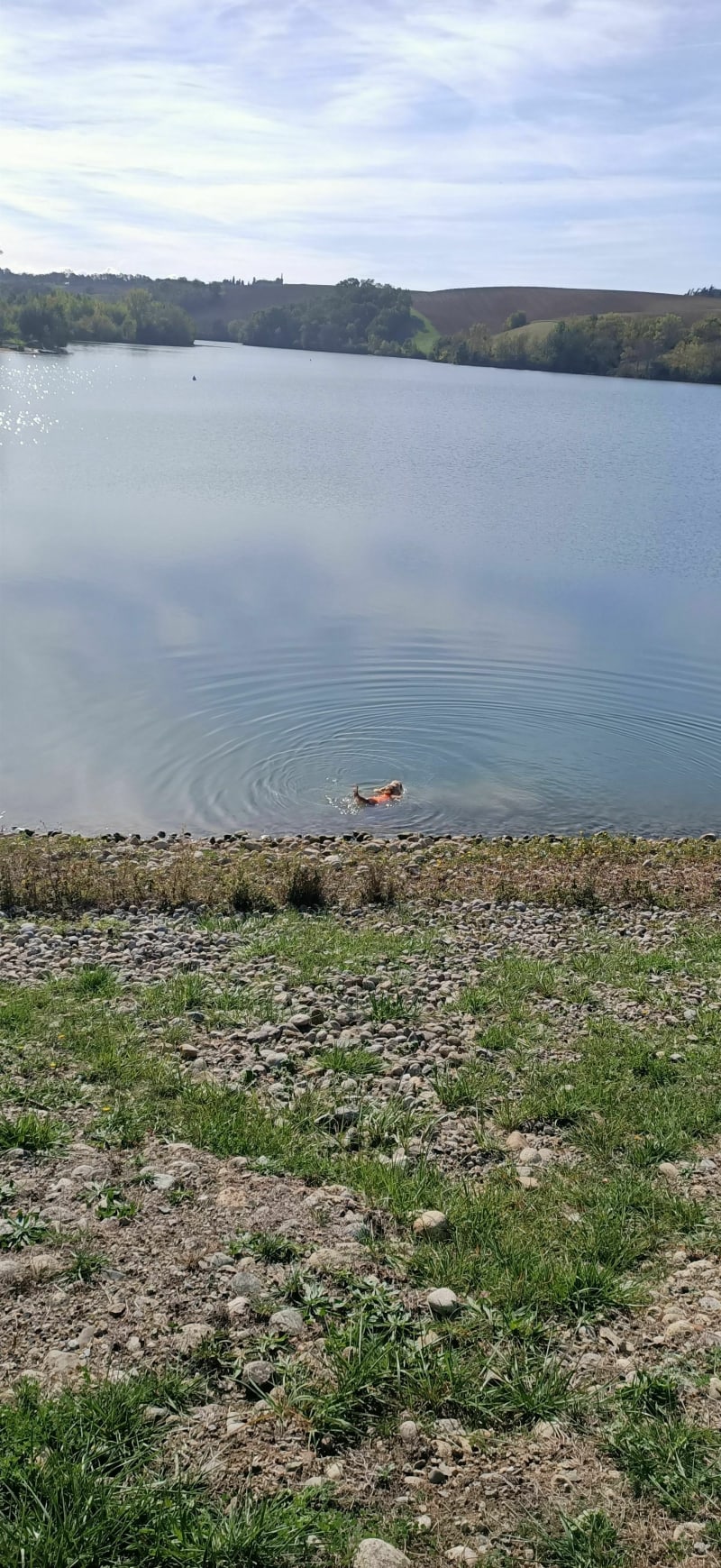 De Nailloux au lac de la Thésauque - Nailloux