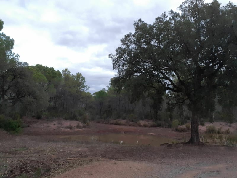 Campagne et forêt à La Bouverie - La Bouverie