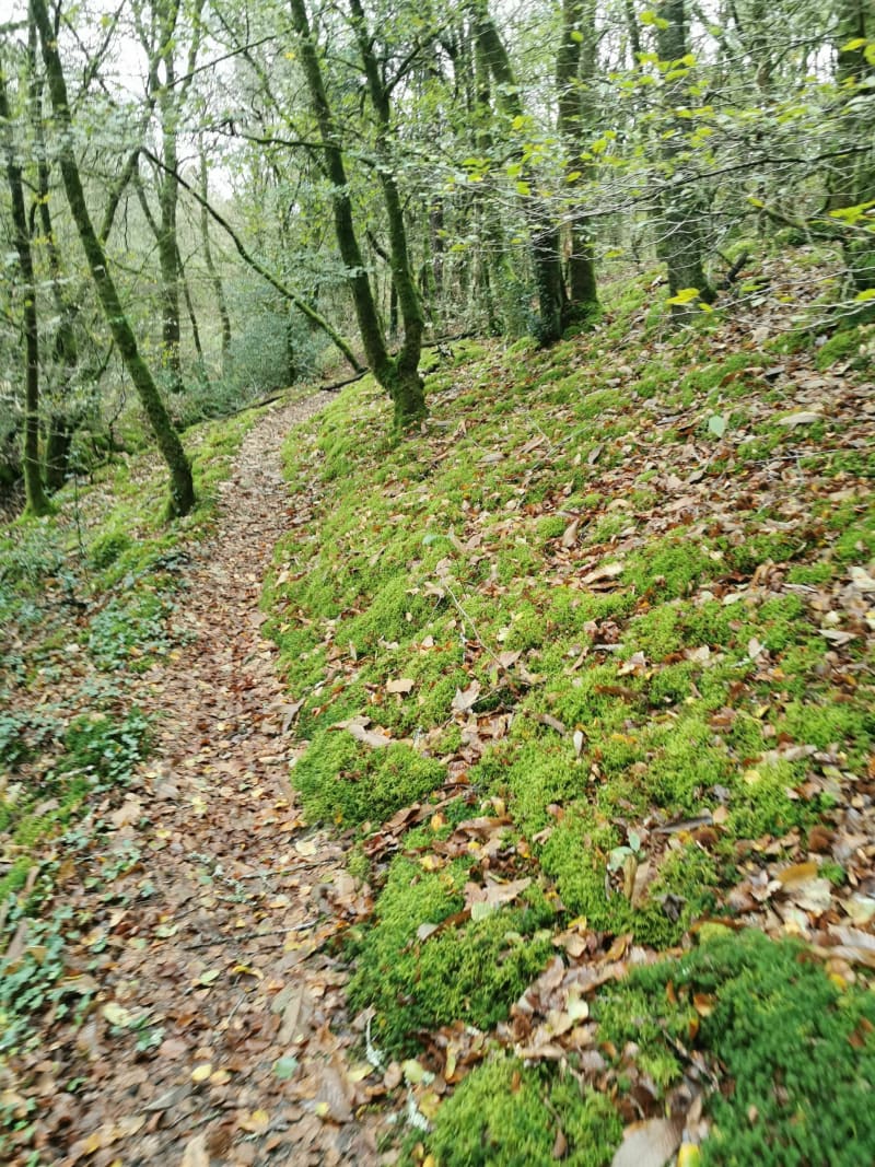 Balade autour du Torrod - Guilligomarc'h