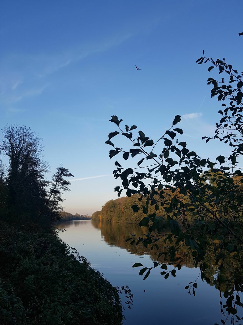 Balade à vélo le long de la Seine depuis Herblay - Herblay sur Seine