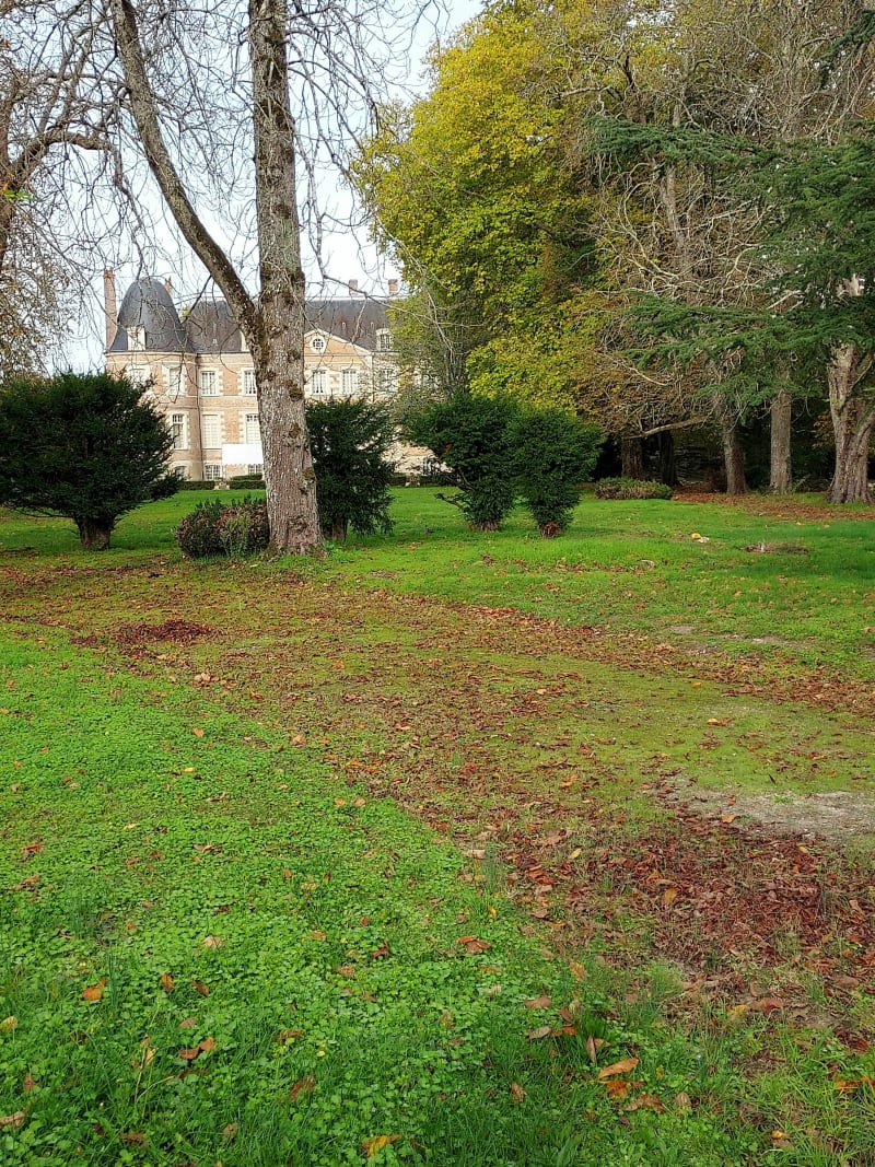 De Mennetou-sur-Cher à La Ferté-Saint-Aubin en Sologne - Mennetou-sur-Cher