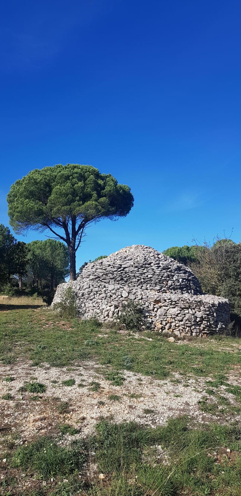 Balade au Clos Gaillard - Nîmes