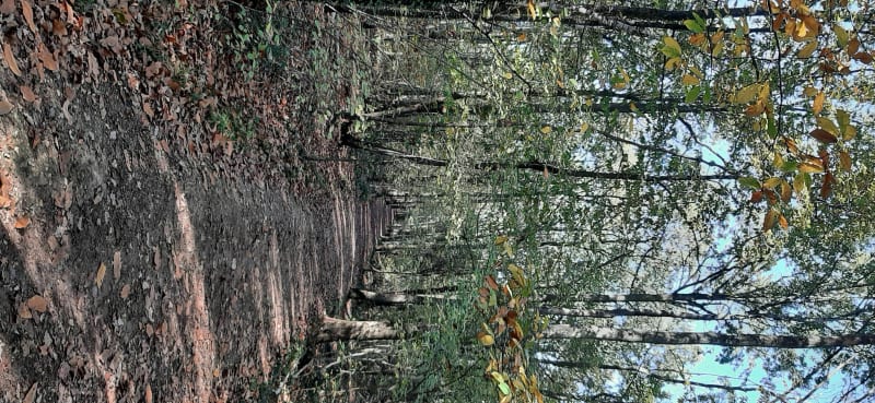 Belle sortie des Eboulures à la plaine agricole - Montigny les Cormeilles