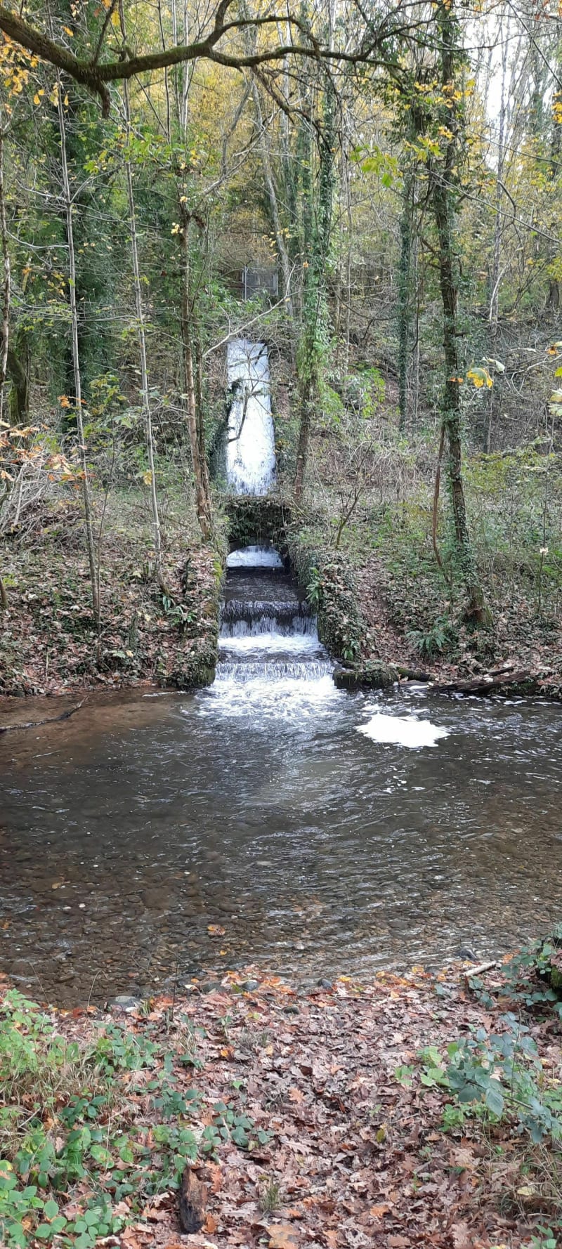 Balade tranquille Fure et pont du bœuf   longeant la rivière - Rives