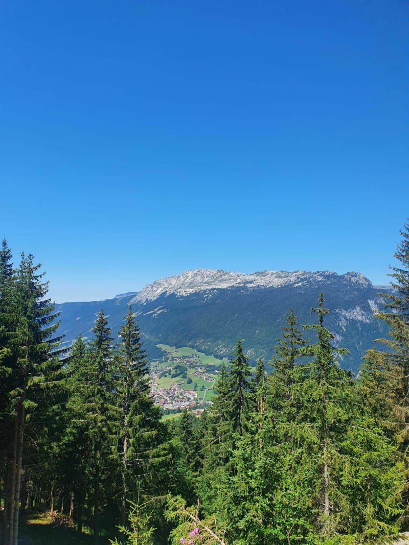 La tête du Danay à pied - Saint-Jean-de-Sixt