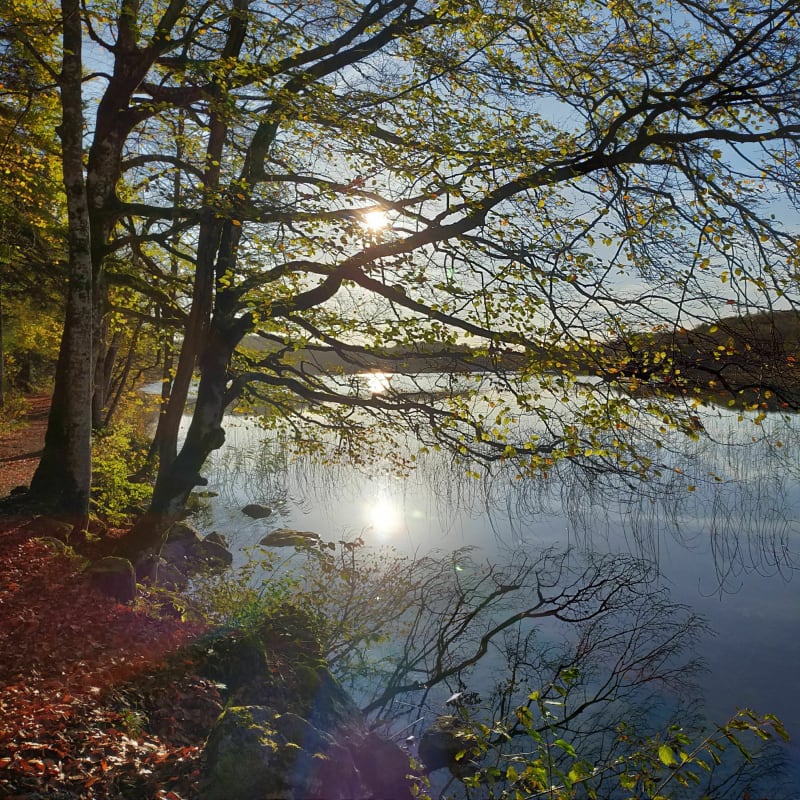 Les quatre lacs, Ilay, Narlay, Petit Maclu et Grand Maclu - La Chaux-du-Dombief