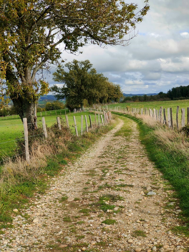 Château de Villeneuve et sa campagne - Villeneuve-de-Marc