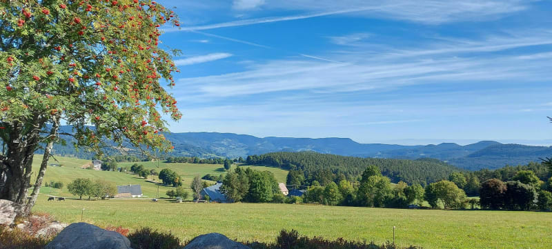 De Lapoutroie à Fréland - Lapoutroie