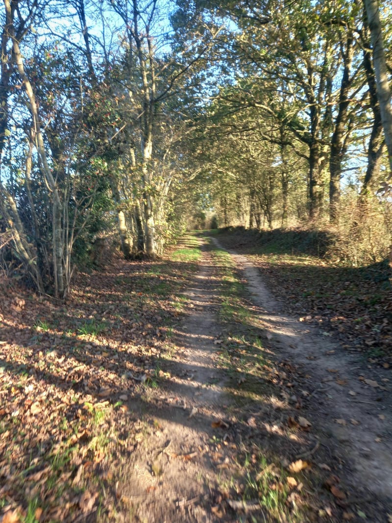 Sentier des côteaux - Chaumes-en-Retz