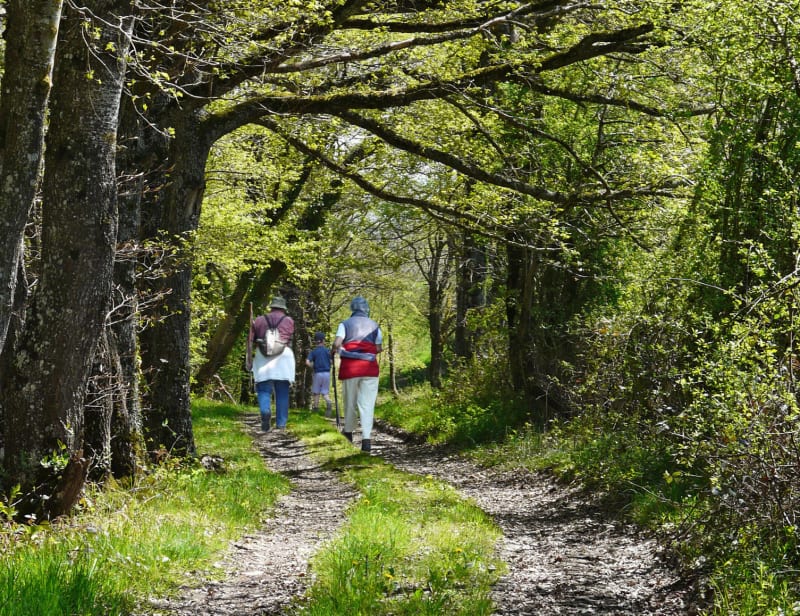 Le Vallon Saint-Jean - Bellenaves