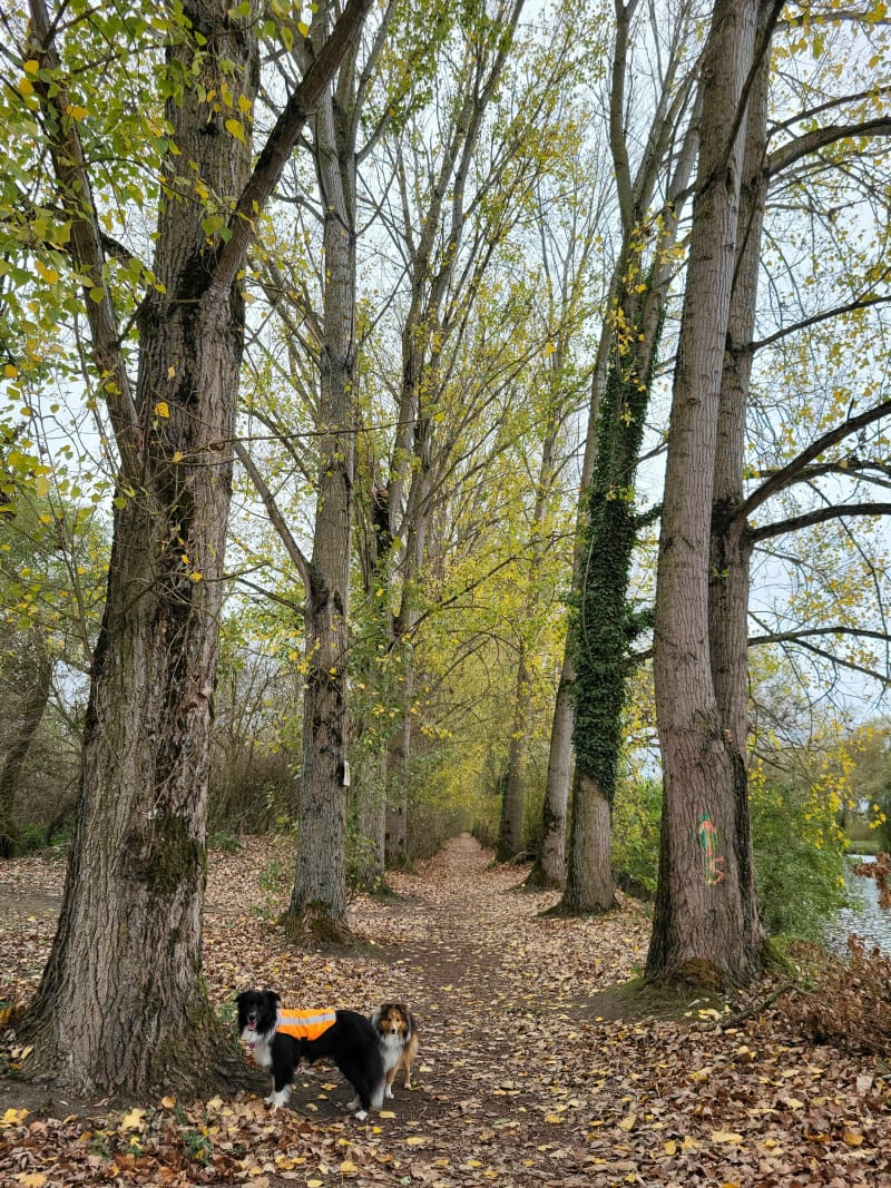 Balade au bassin rond à bouchain - Bouchain