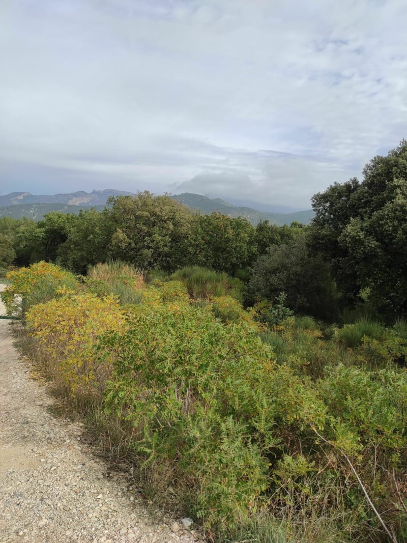 Autour d'Aubagne par Carnoux et Roquefort à VTT - Aubagne