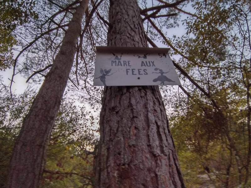 Sentier Denecourt Collinet 11 - Fontainebleau