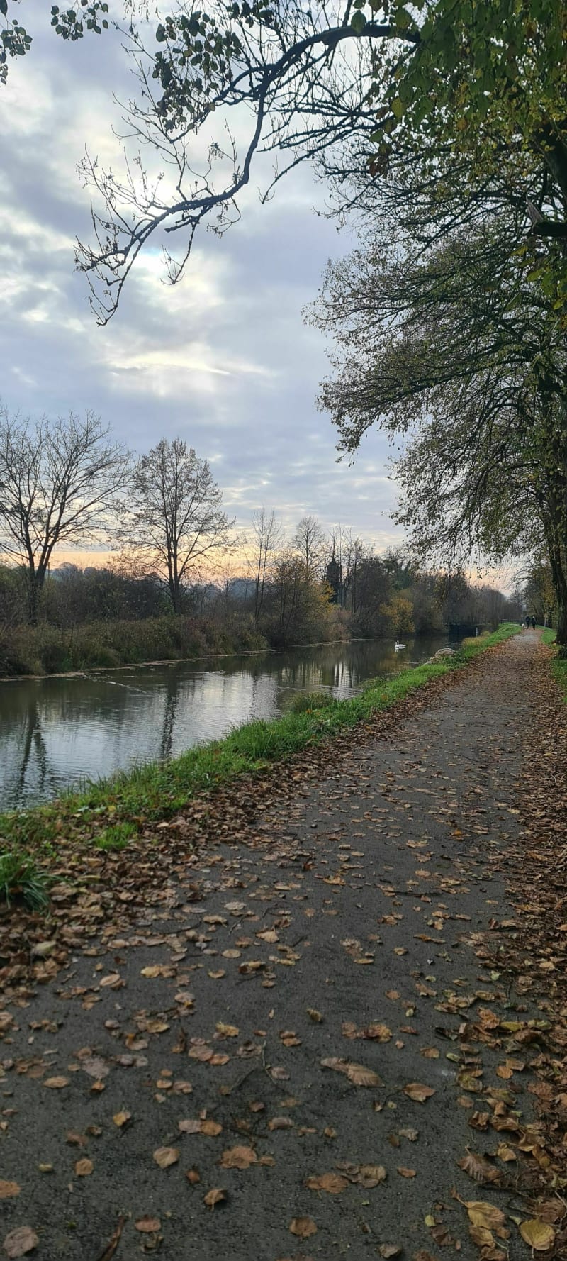 Balade d'automne - Montbéliard