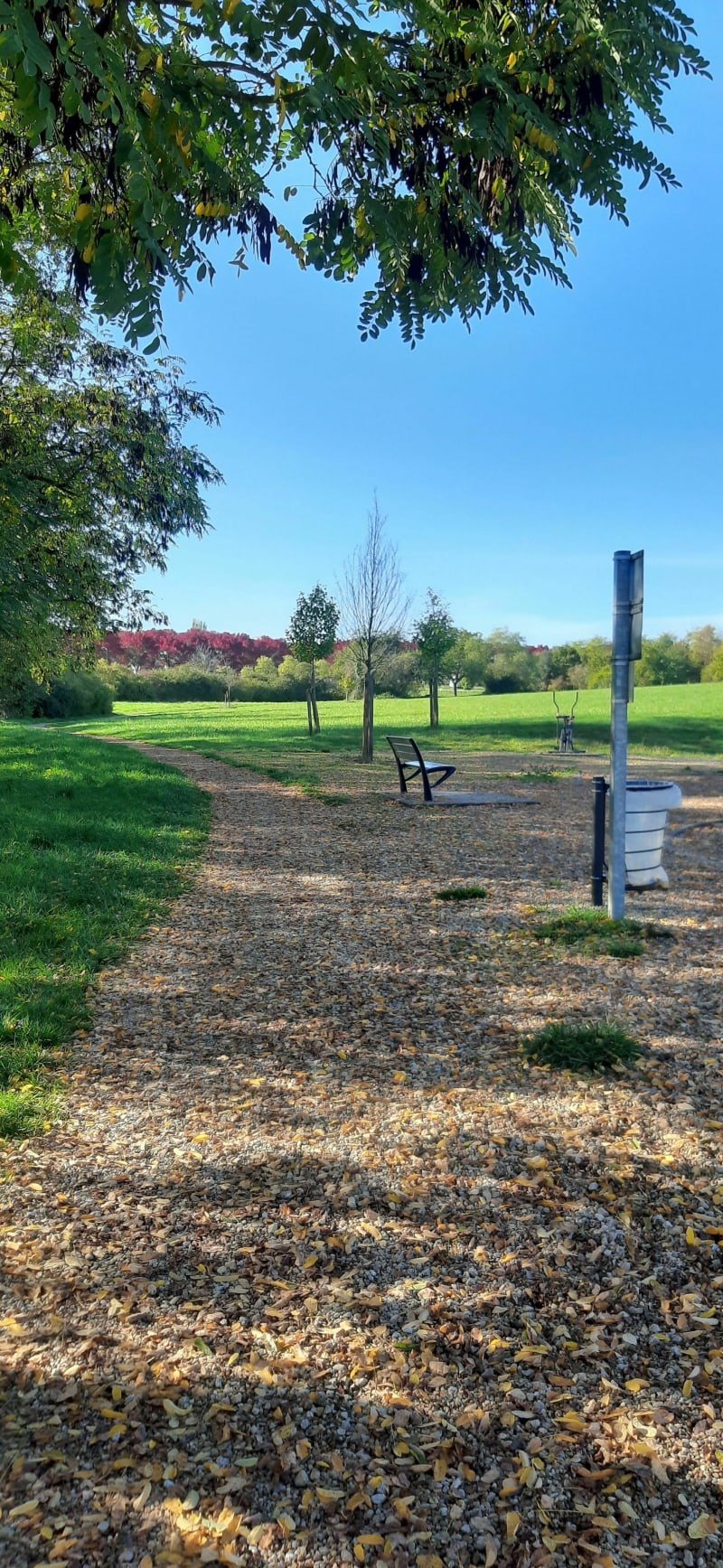 Tour en forêt de Blois par le Lac de la Pinçonnière - Blois