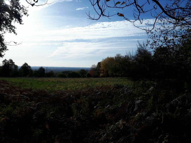 Le paradis - Cognac la Forêt - Cognac la Forêt
