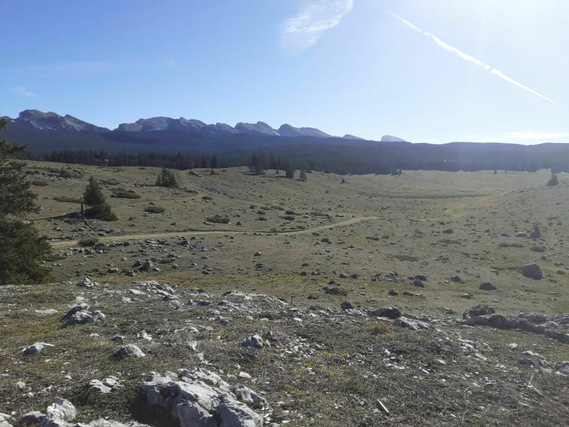 Prairie De Darbounouse - Saint-Martin-en-Vercors
