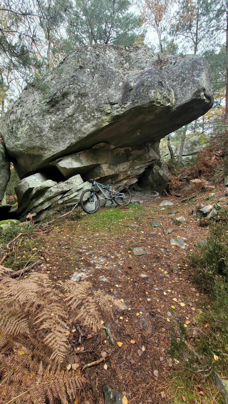 Forêt de Fontainebleau - Chailly-en-Bière