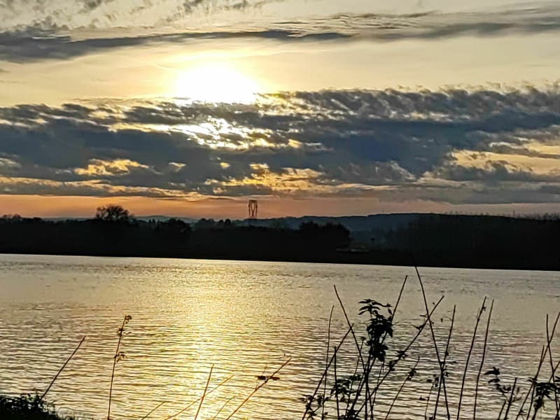 Boz, une balade nature en bord de Saône - Boz