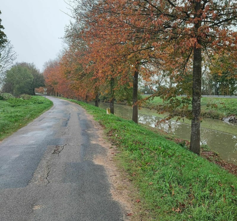 Balade le long du canal de Pont-de-Vaux - Pont-de-Vaux