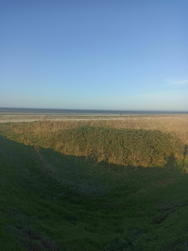 Balade dans les polders à Cherrueix (35) - Cherrueix