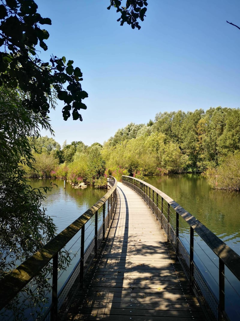 Courir à Douai - Autour du Rivage Gayant - Douai