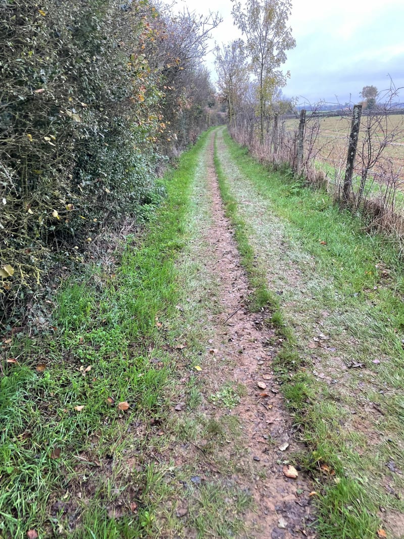 Ballade dans la campagne de Jallais - Beaupréau-en-Mauges