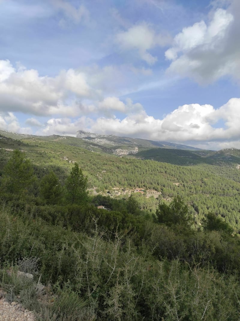 Belle rando autour d'Aubagne, Carnoux, la Bédoule, Gémenos - Aubagne