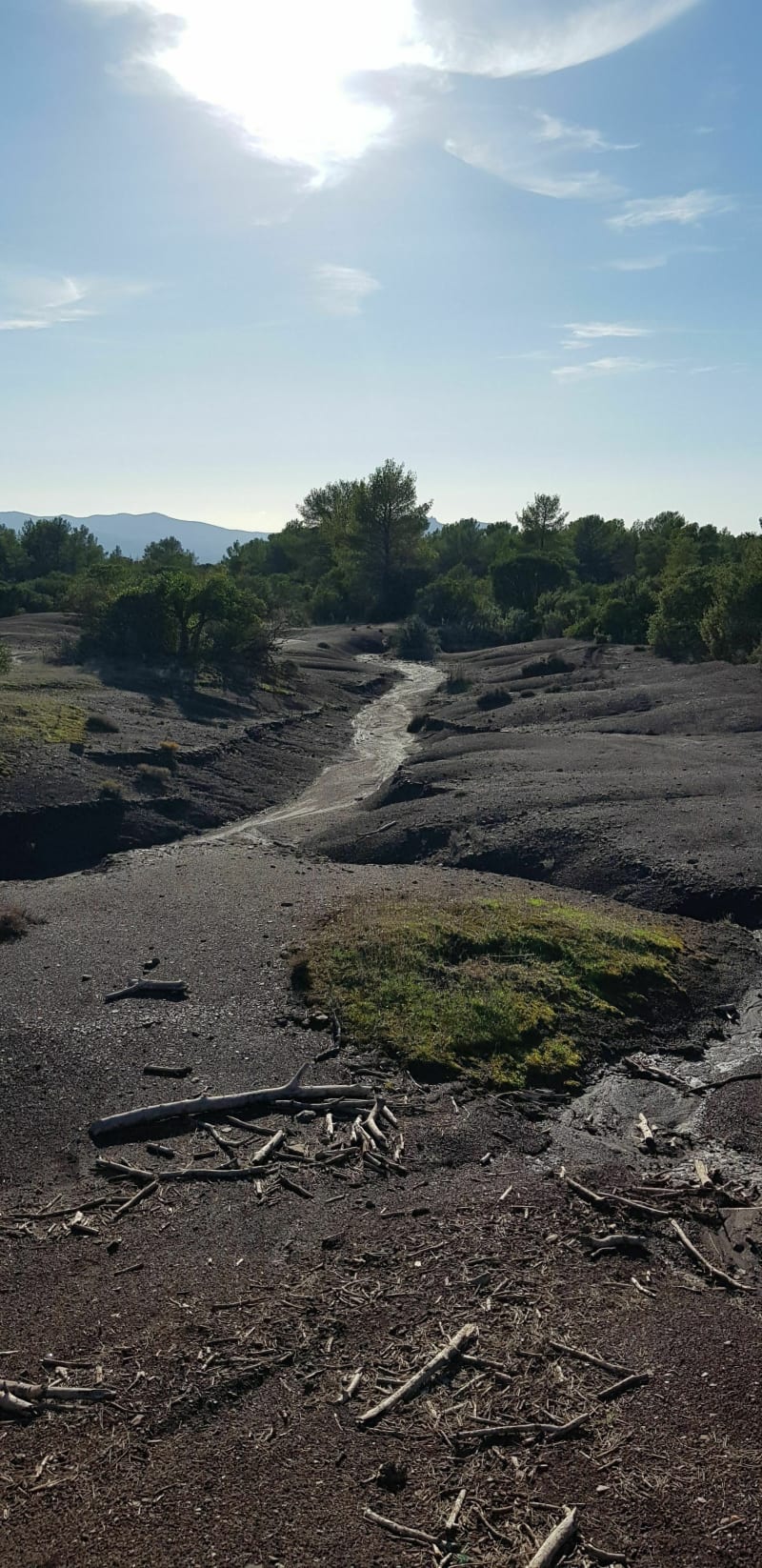 Balade autour des dunes de la Bouverie et la forêt de Raphèle - Roquebrune-sur-Argens