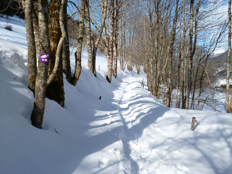 Boucle des Reys - Itinéraire hiver - Saint-Pierre-d'Entremont