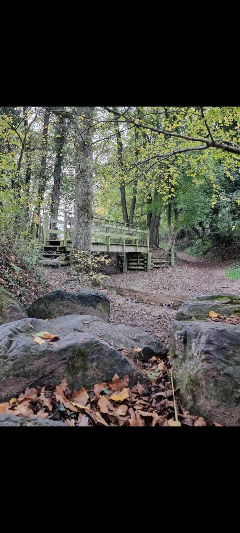Petit tour du bois de Monichard - La Fouillouse