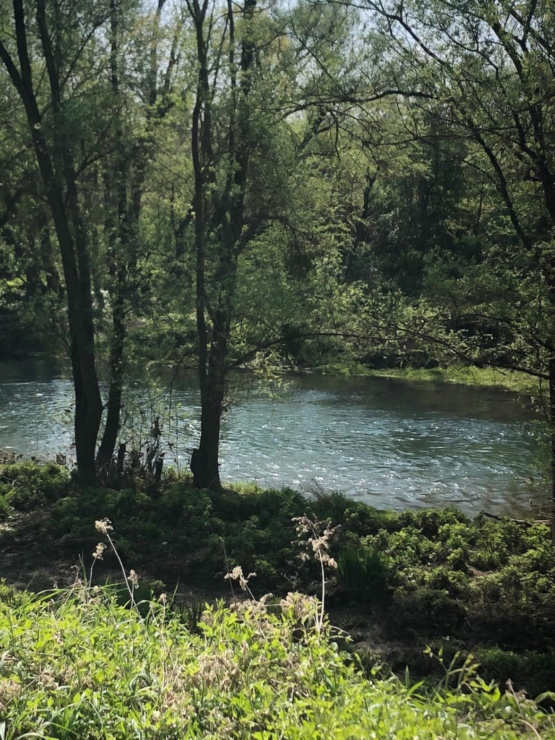 Balade en forêt de Saint Hubert - Richemont