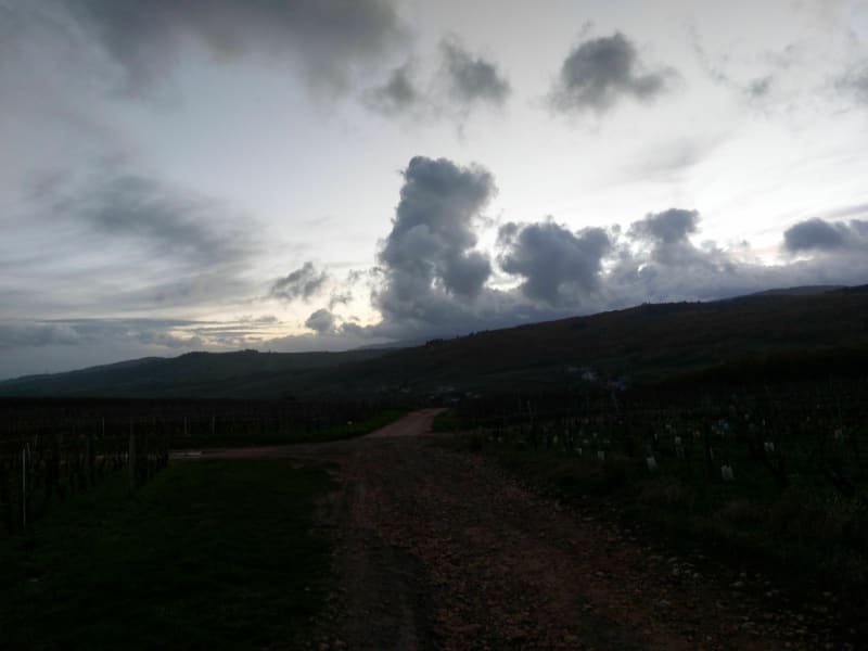 Balade vers le Mont Pouilly - Leynes