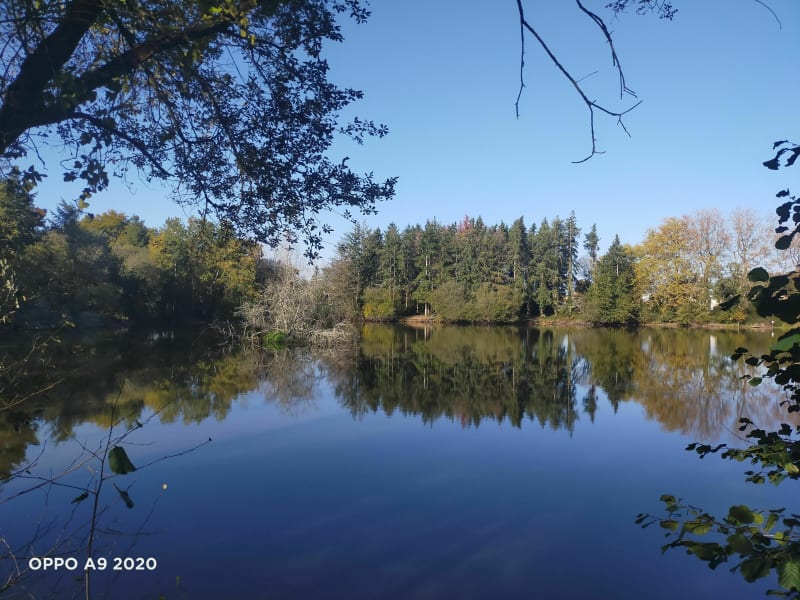 Balade d'automne à la Mevellière - Bouaye