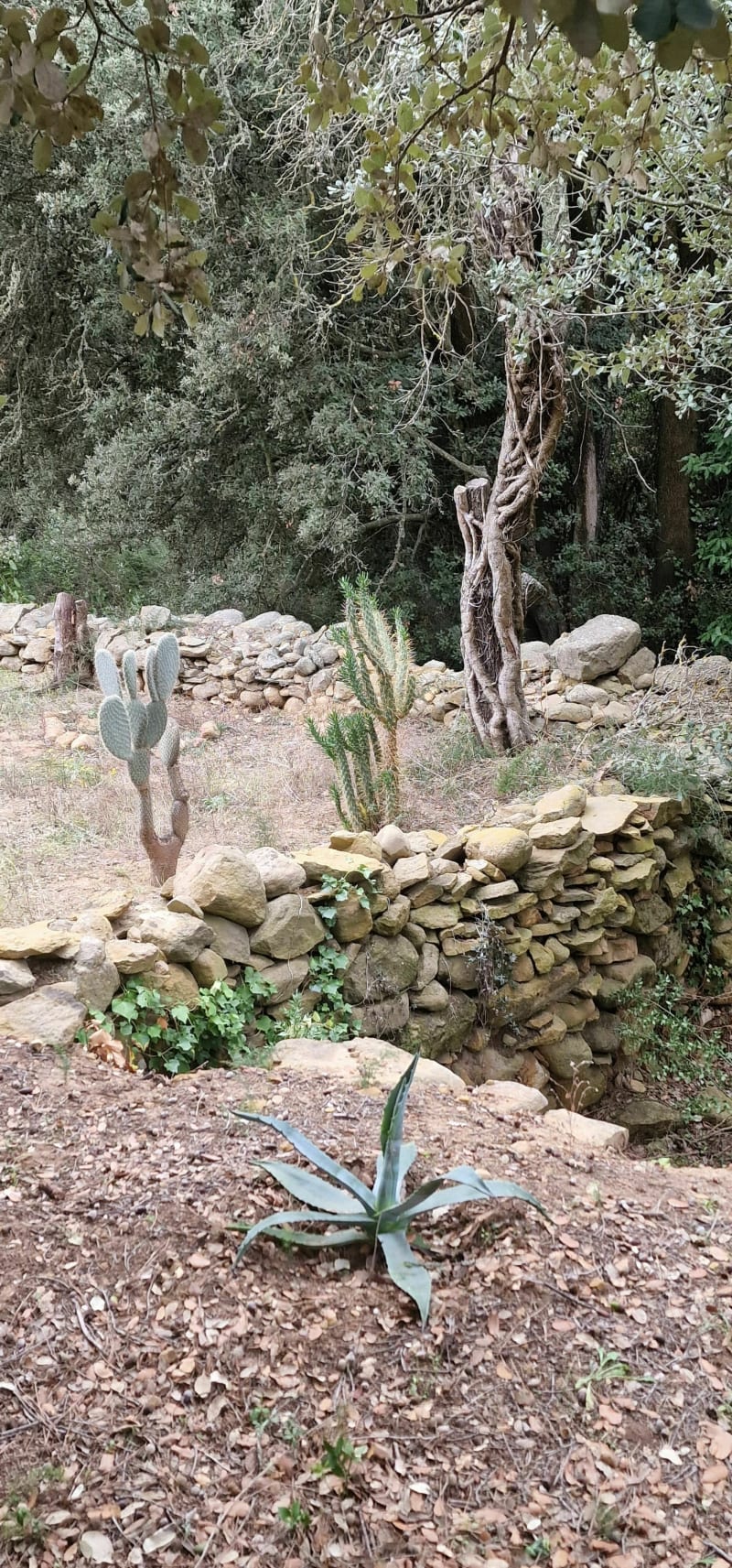 Rando la Clape de Salles-d'Aude - Salles-d'Aude