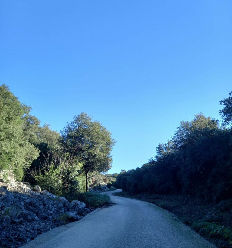 Boucle en direction de la Suque - Le Triadou