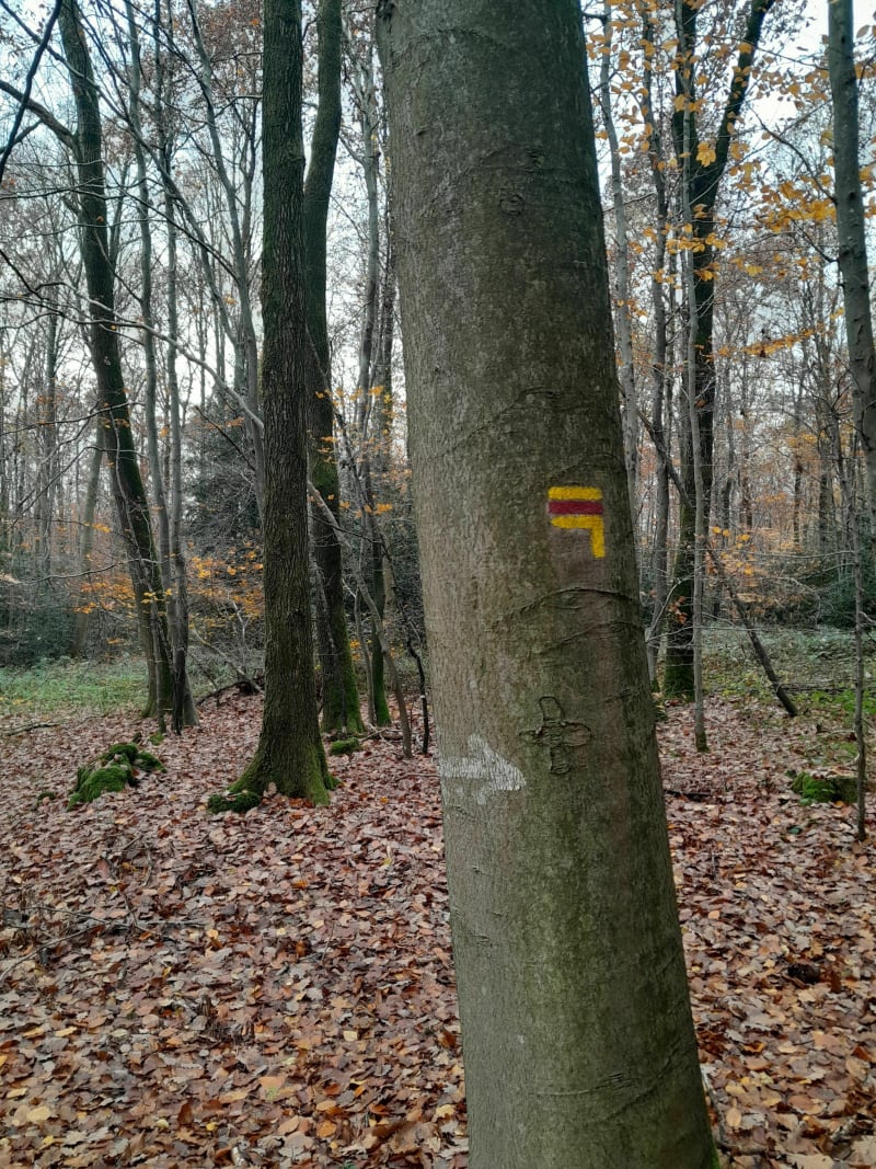 Le Croc au Boucher dans la Forêt de Lyons - Les Hogues