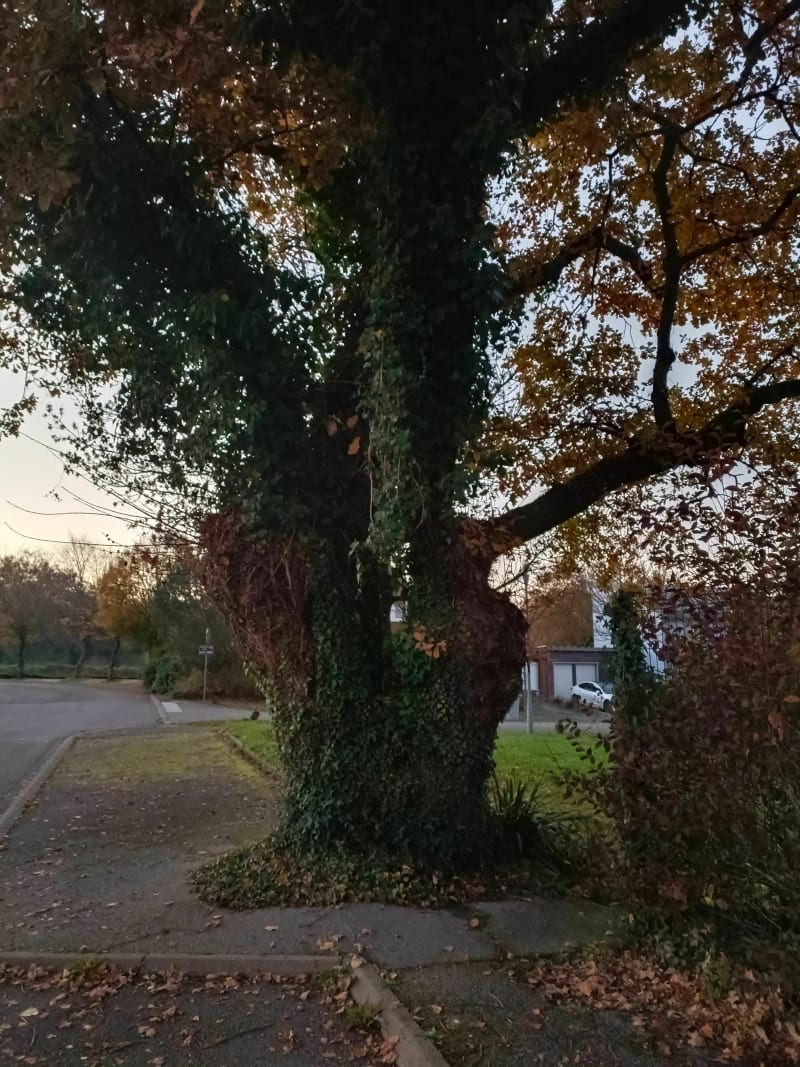 Un coucher de soleil sur le château de la Gournerie - Saint-Herblain