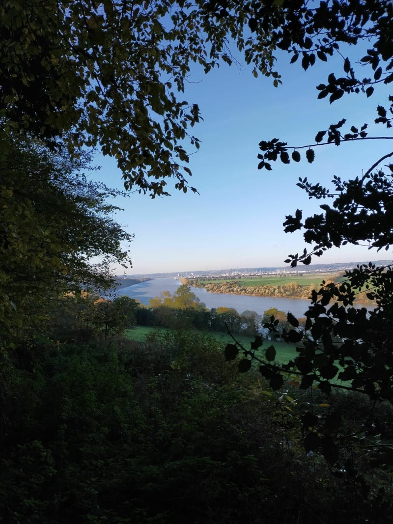 Sur la route des chaumières le long de la Seine - Vatteville-la-Rue