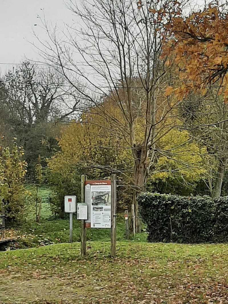Boucle au Camp de Bierre Vaudobin - Merri