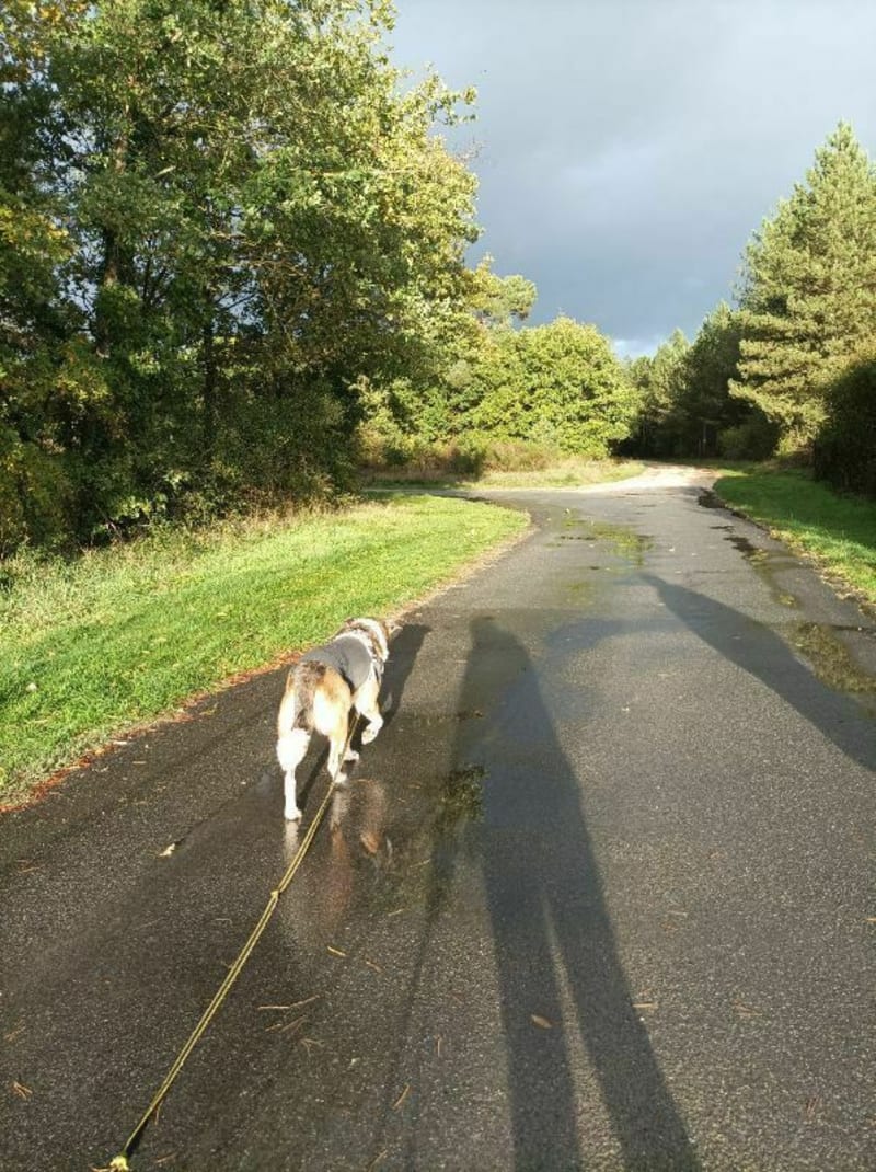 Promenade au bord du Cher-Claveau - Gièvres