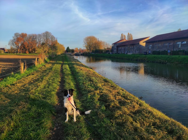 De Saint-Omer à Arques via le Véloroute n°5 - Saint-Omer
