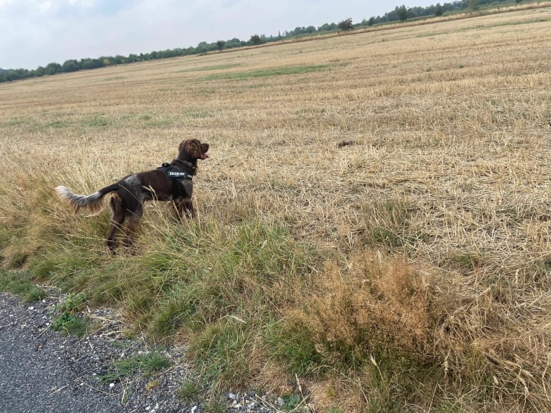Boucle autour de Marcq par l'aérodrome de Bondues - Marcq-en-Barœul